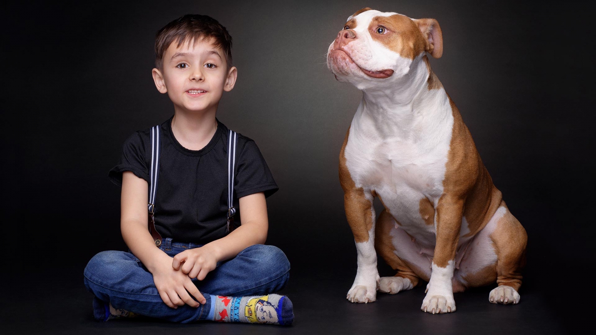 hund-studio-bulldog-kind